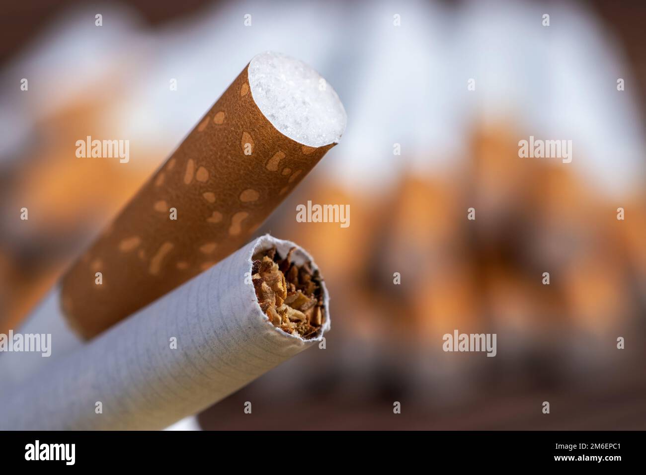 Tobacco in cigarettes with a brown filter close up Stock Photo Alamy