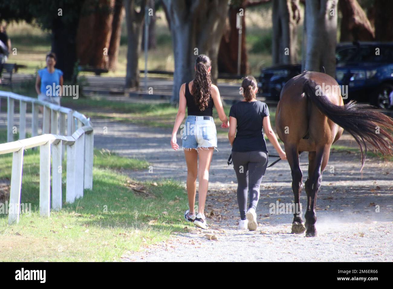 Cat Lovers Festival Sydney | Sydney Olympic Park