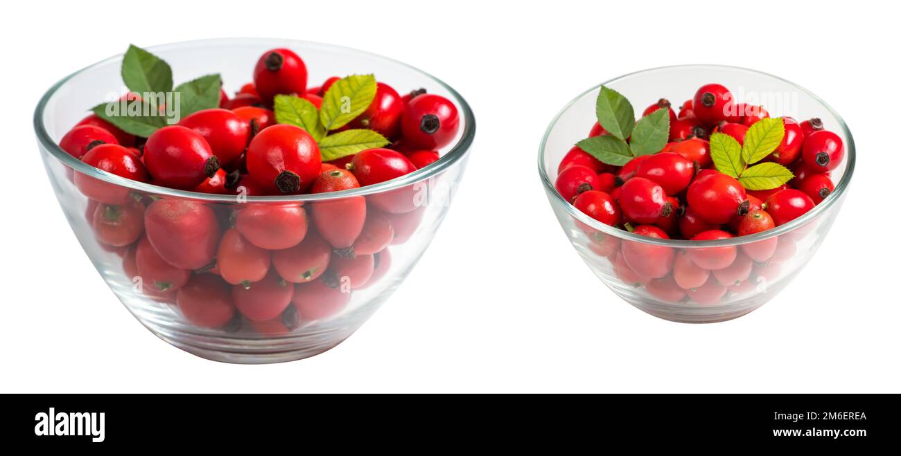 Fresh red Rose Hips in the glass bowl, fresh Berries from the dog rose. Stock Photo