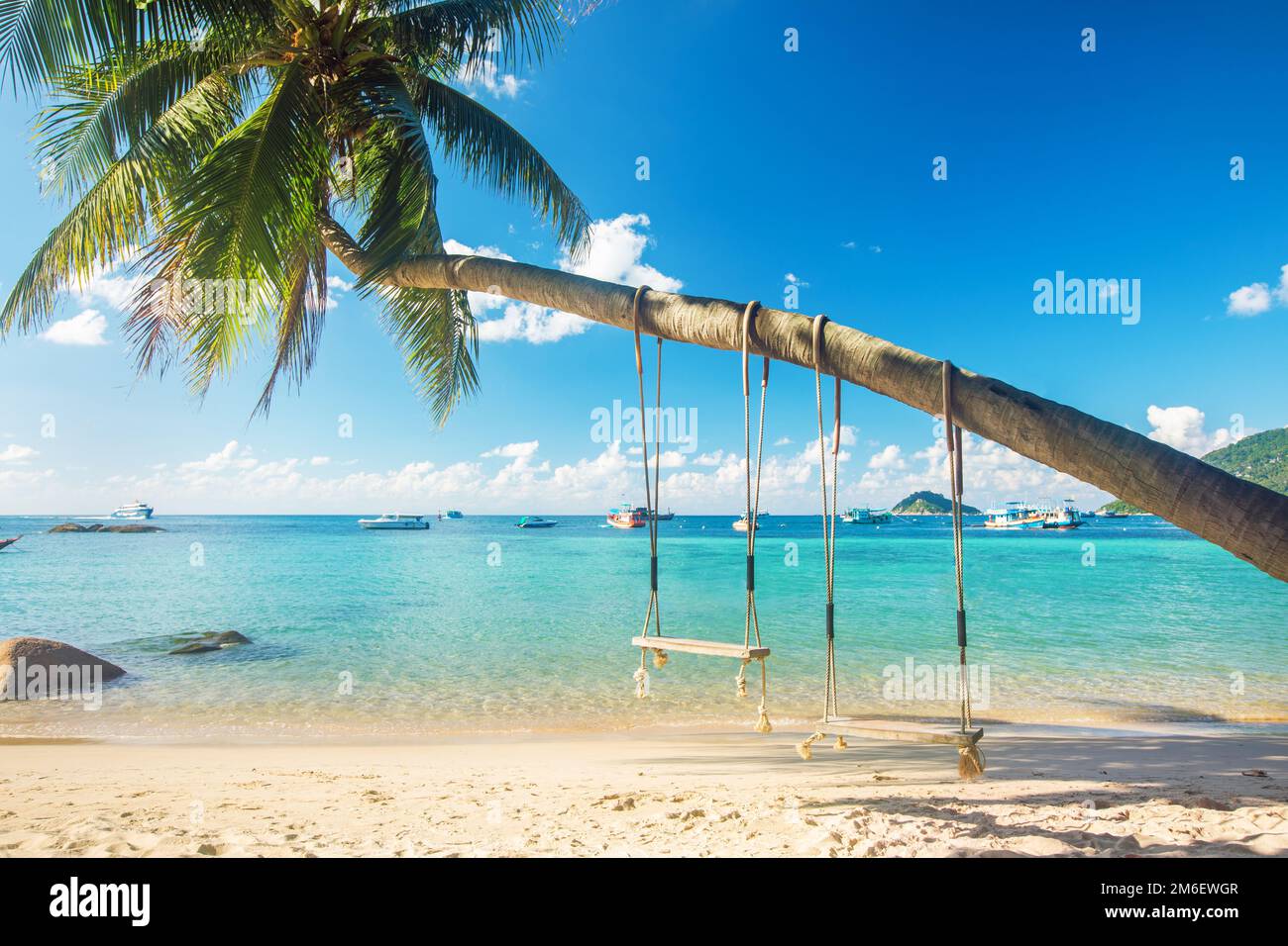Beautiful tropical island beach with coconut palm trees and two swings Stock Photo