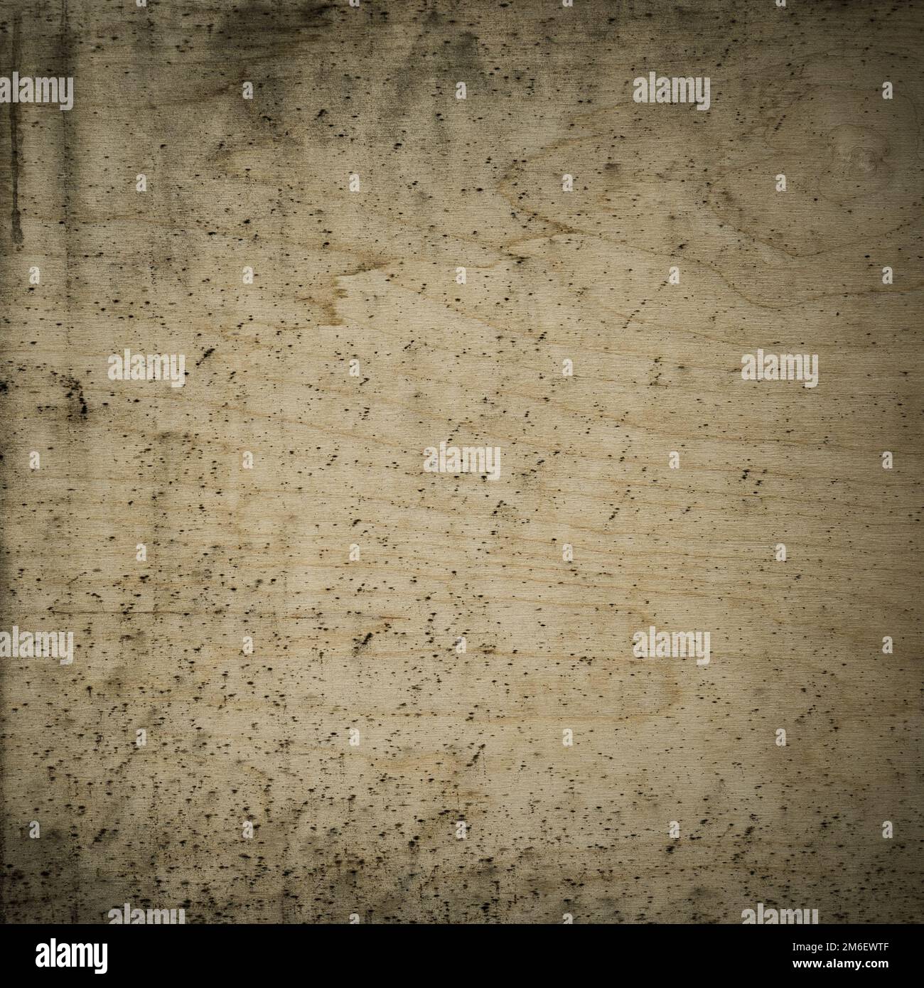 Old wood texture background, perfect natural pattern. Stock Photo