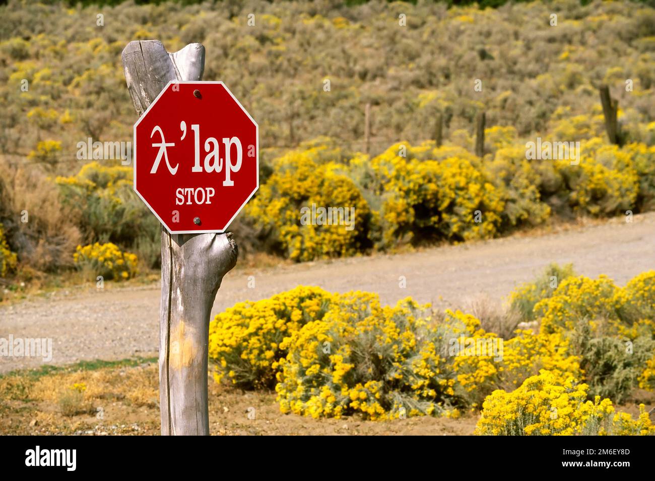 Bilingual stop sign in English and First Nations language near Osoyoos and Oliver in the Okanagan Valley, British Columbia, Canada. Stock Photo