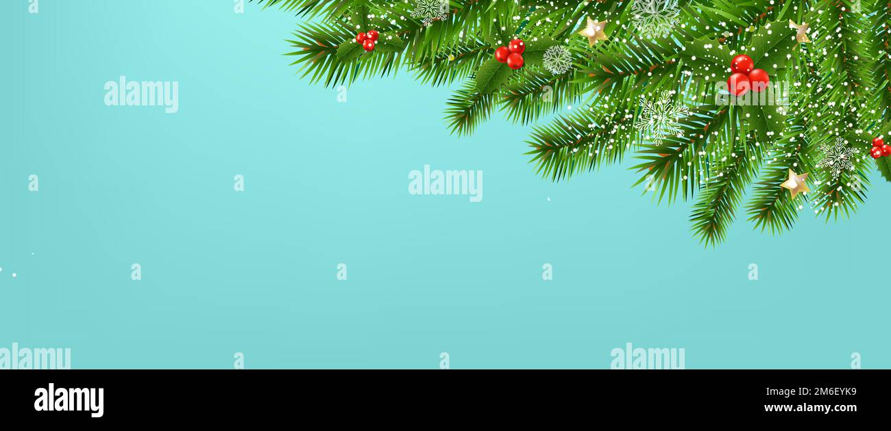 Fir Tree Border With Holly Berry With Mint Background Stock Photo - Alamy