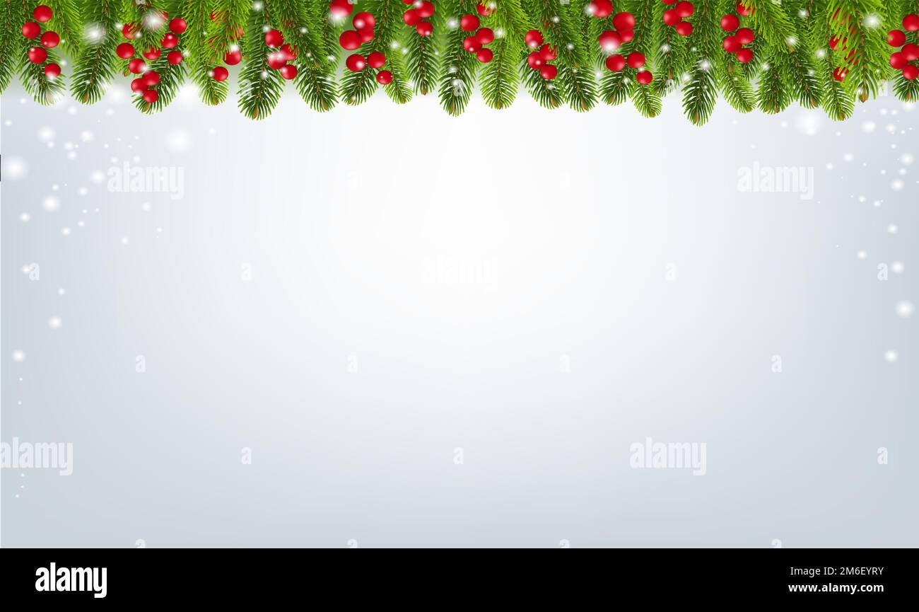 White Snow And Fir Tree Border With Holly Berry Stock Photo - Alamy