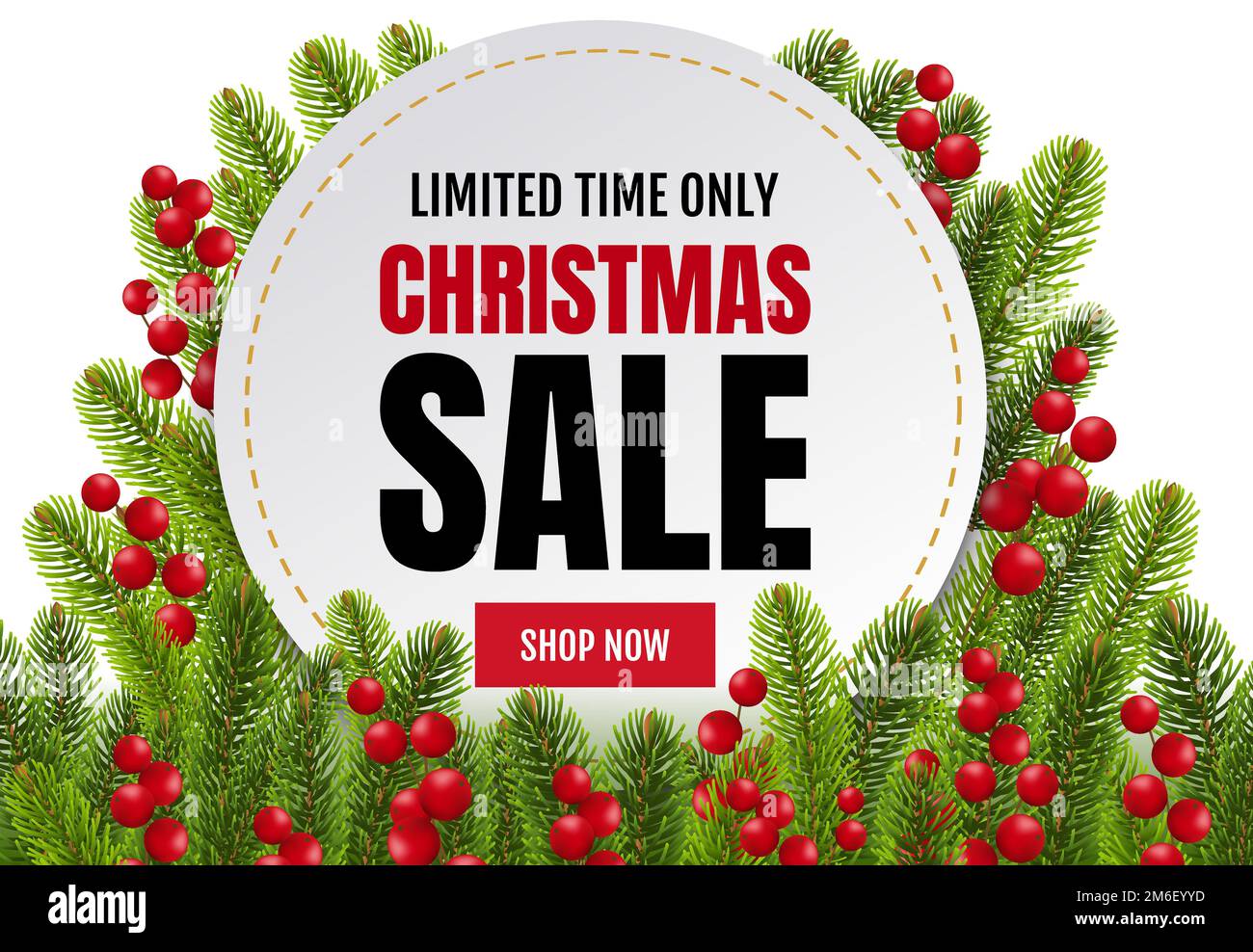 Fir Tree Border With Holly Berry And White Banner Stock Photo - Alamy