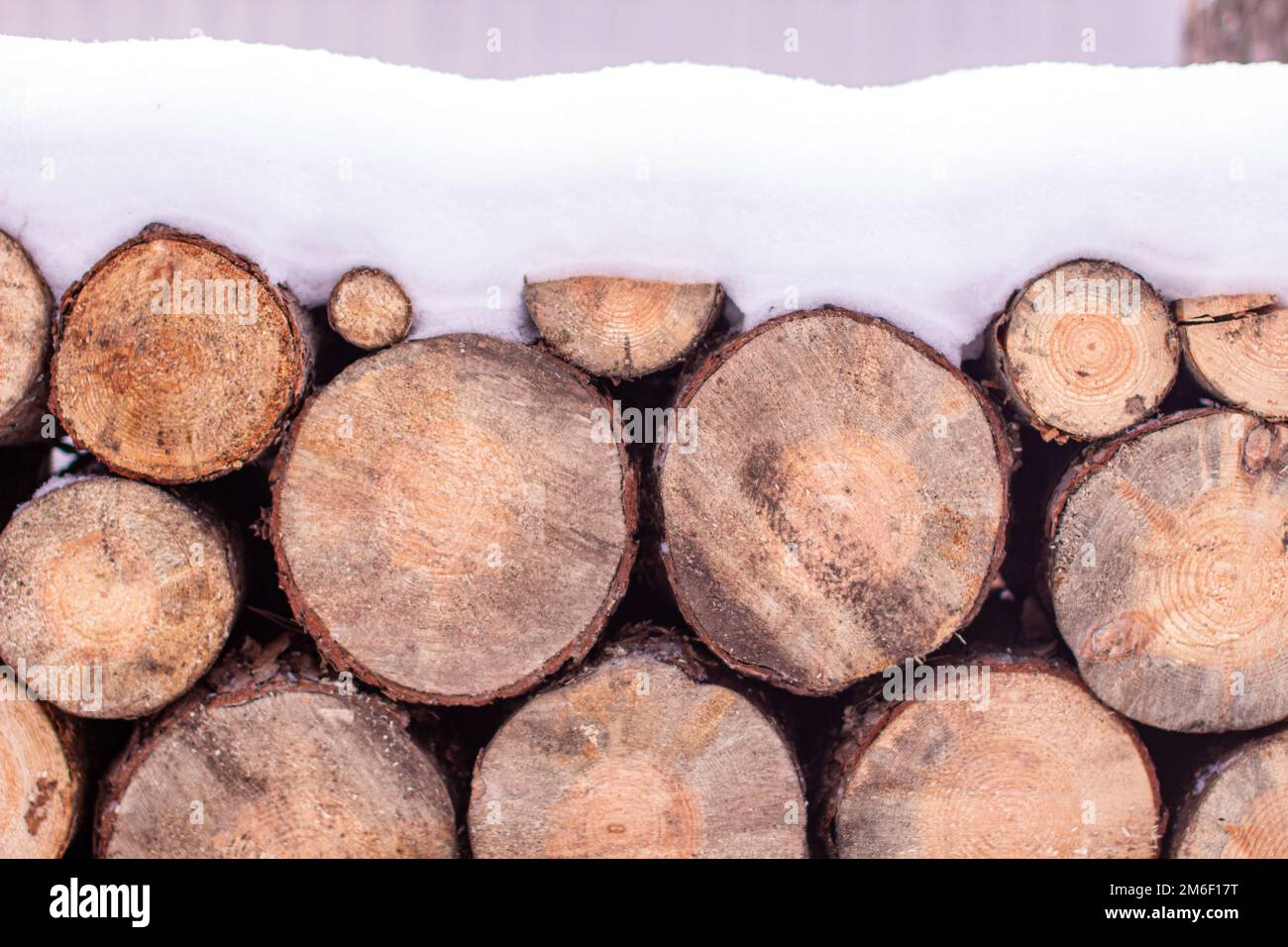 Round wood, dusted with snow, stands in straight rows on the street Stock Photo