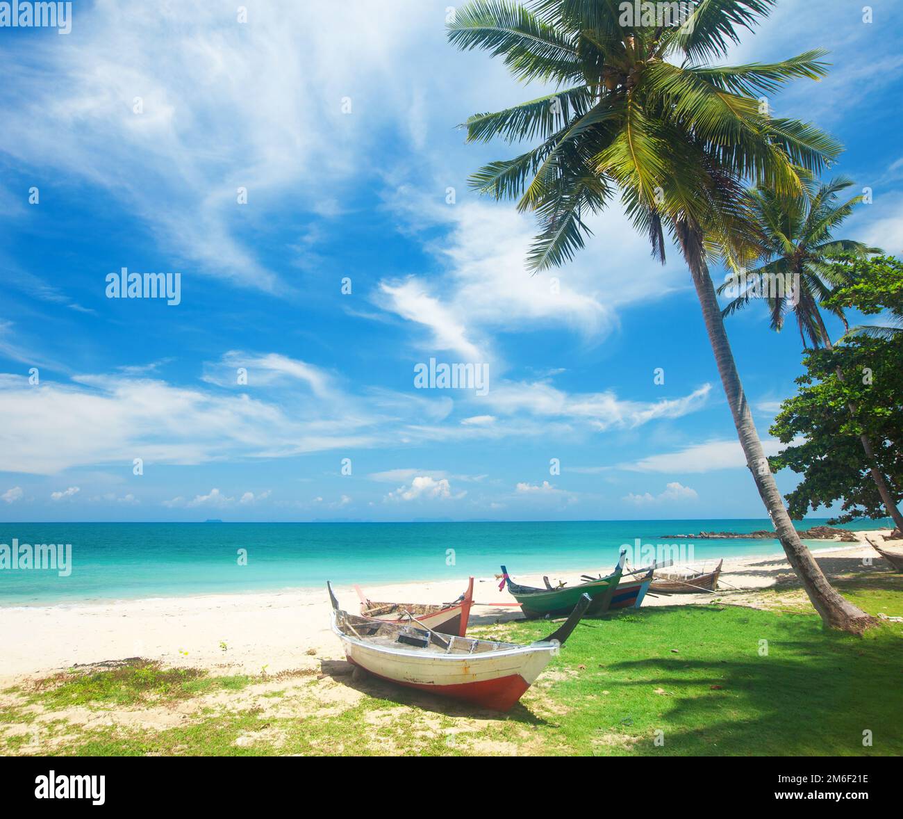Blue tropical wallpaper hi-res stock photography and images - Alamy