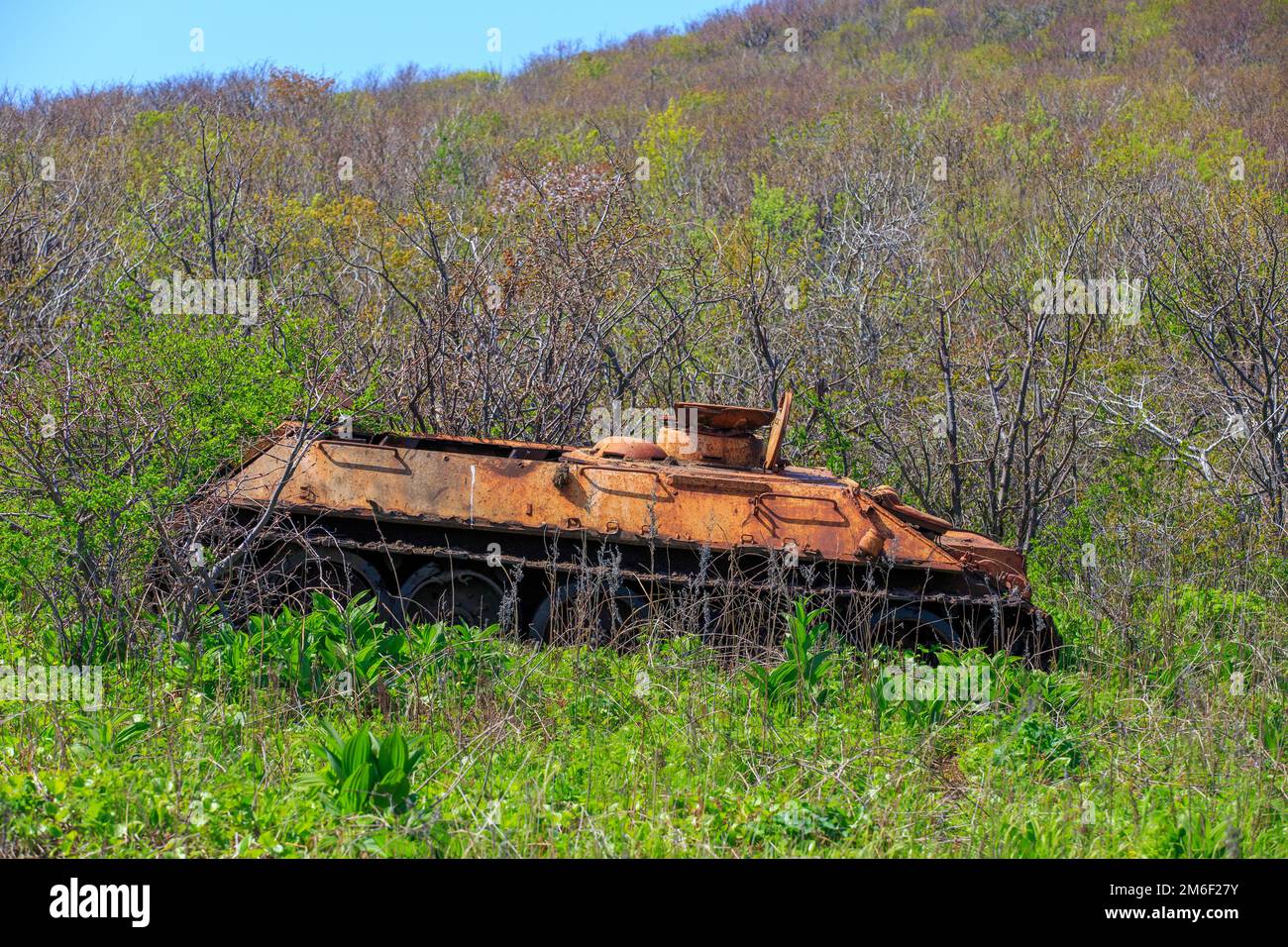 An old rusty tank stands in the middle of thick grass near the seashore ...