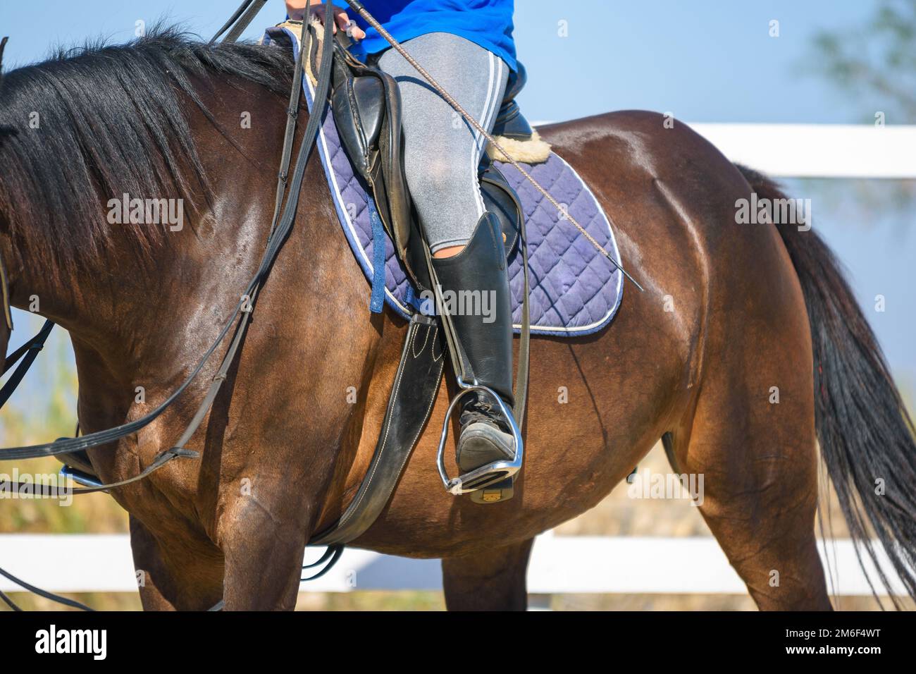 The rider sits on a horse, a view of the saddle and stirrup Stock Photo