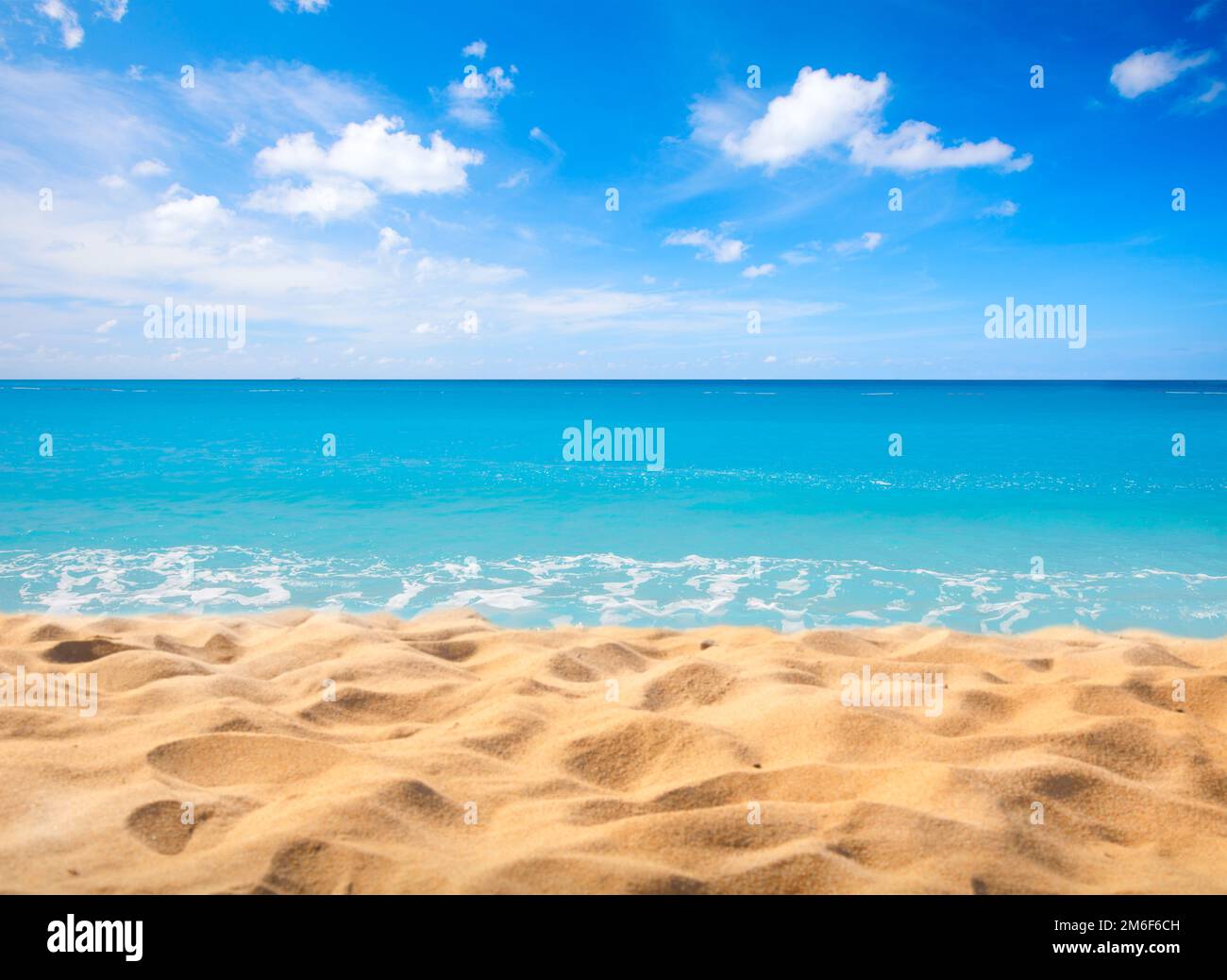 Summer nature tropical coast beach hi-res stock photography and images ...