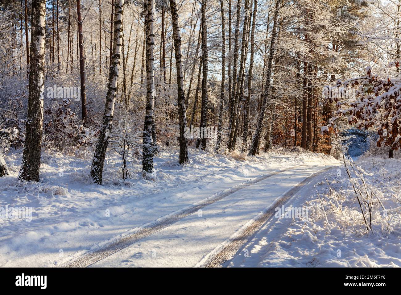 Winter in Warmia and Mazury, Poland Stock Photo