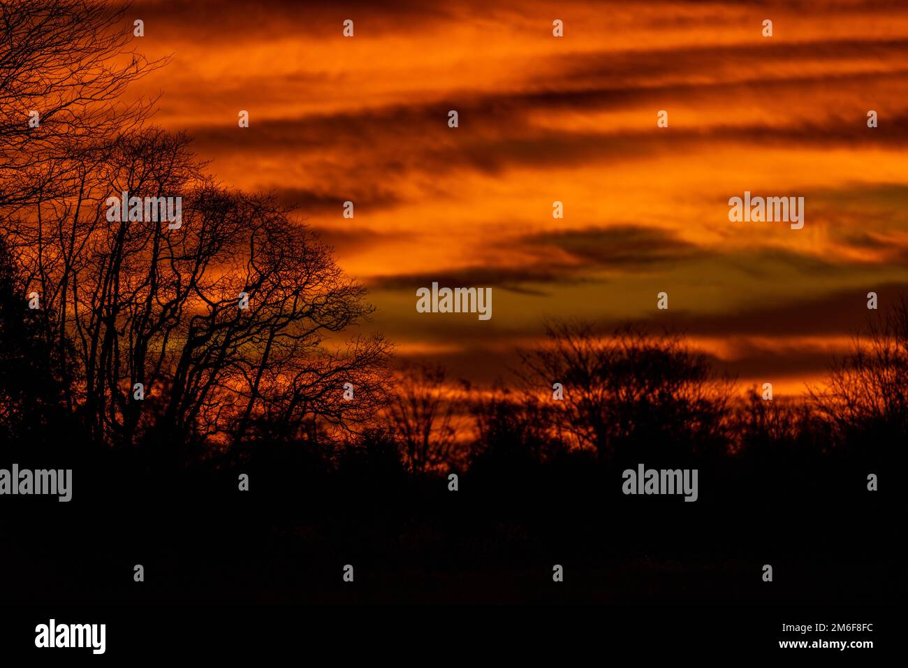 A dramatic orange sunset over the silhouettes of trees Stock Photo - Alamy