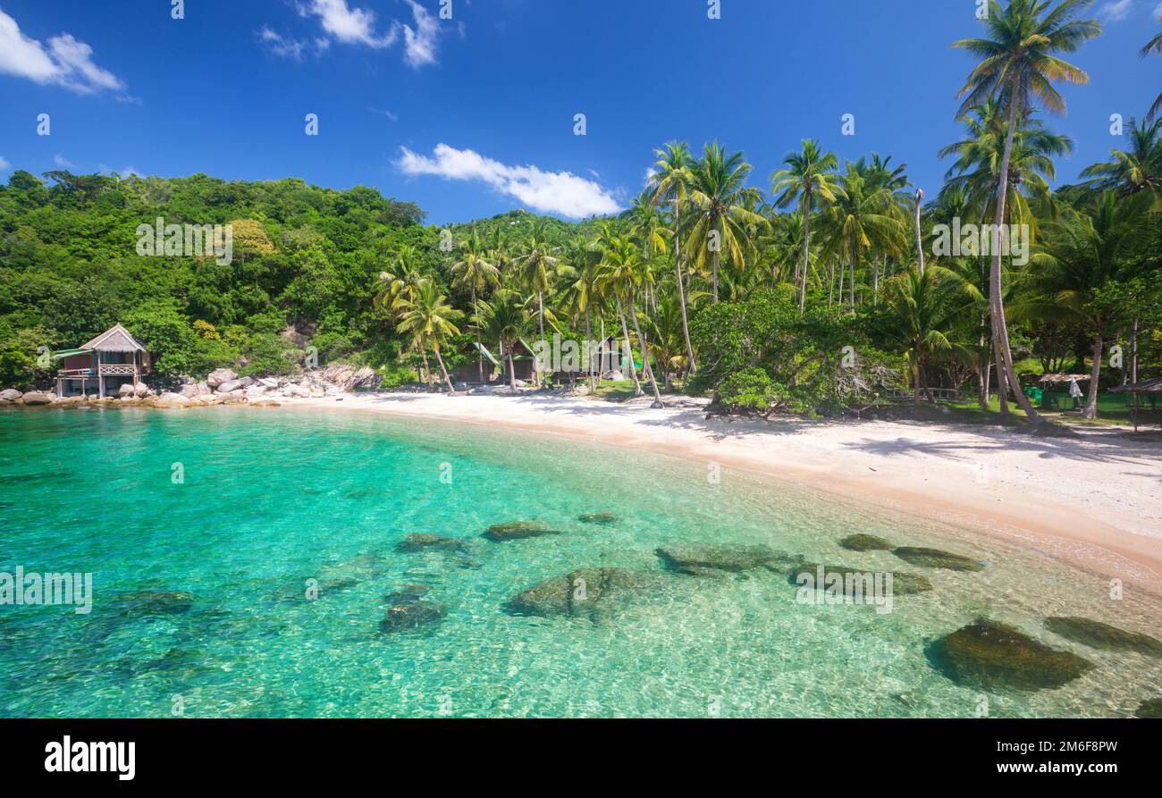 Blue tropical wallpaper hi-res stock photography and images - Alamy