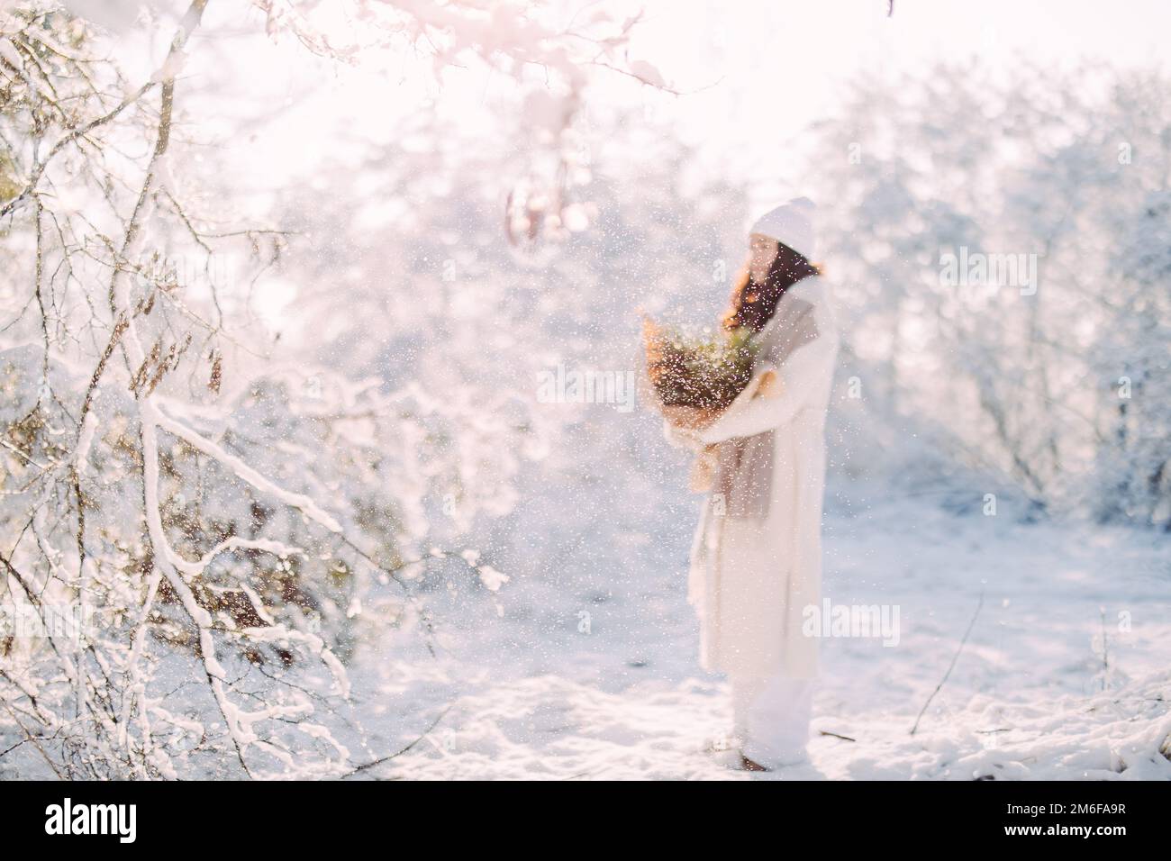 Happy young woman walks in forest among snow covered trees against background of snowflakes with bouquet from pine branches in her hands. Stock Photo