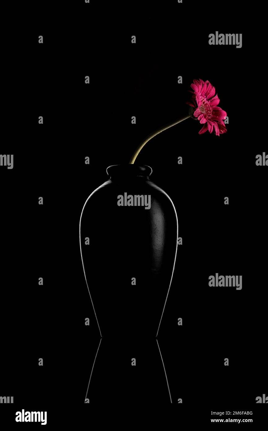 Abstract Black Flower Vase on Black Background Stock Photo Alamy