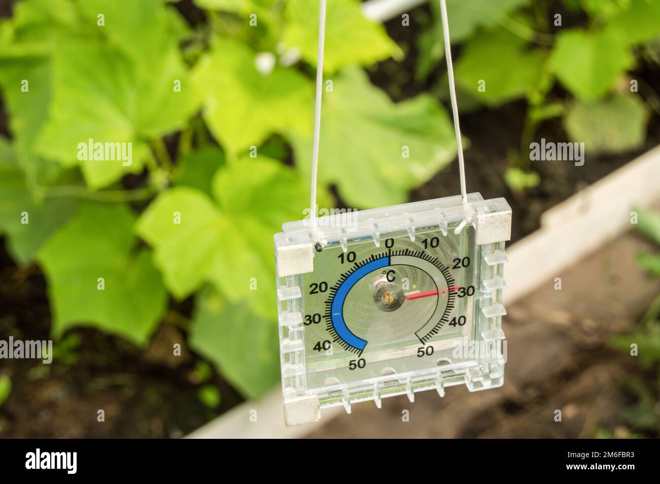 https://c8.alamy.com/comp/2M6FBR3/thermometer-for-measuring-air-temperature-in-the-greenhouse-2M6FBR3.jpg
