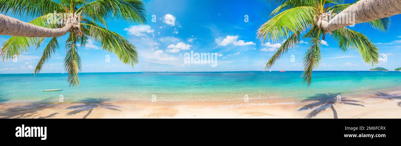 Panorama of tropical beach with coconut palm trees Stock Photo - Alamy