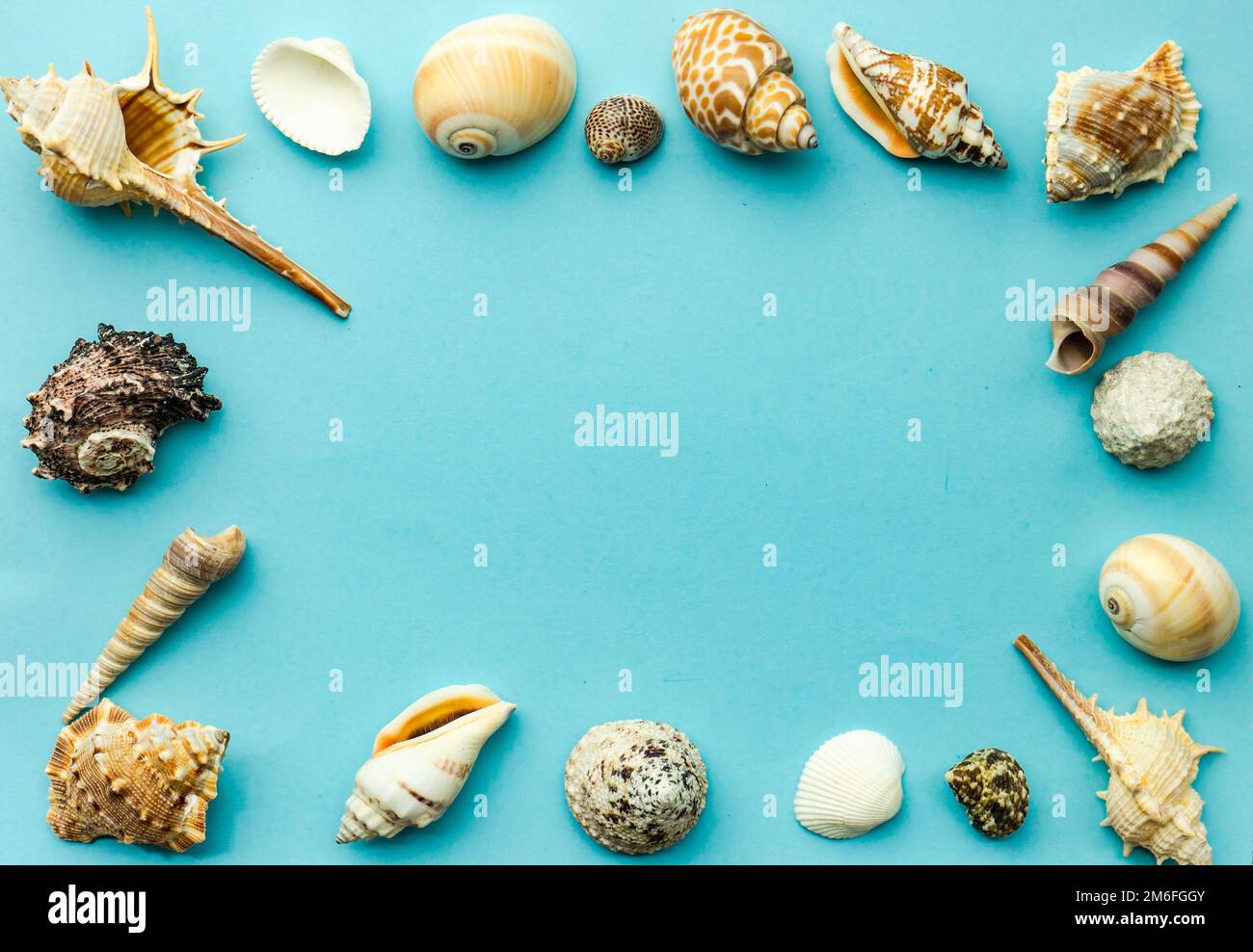 Summer background with sea shells Stock Photo