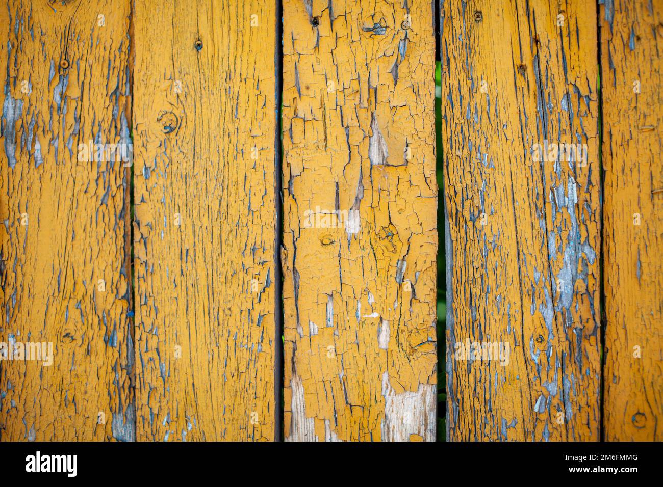 Wood texture with yellow flaked paint. Peeling paint on weathered wood ...