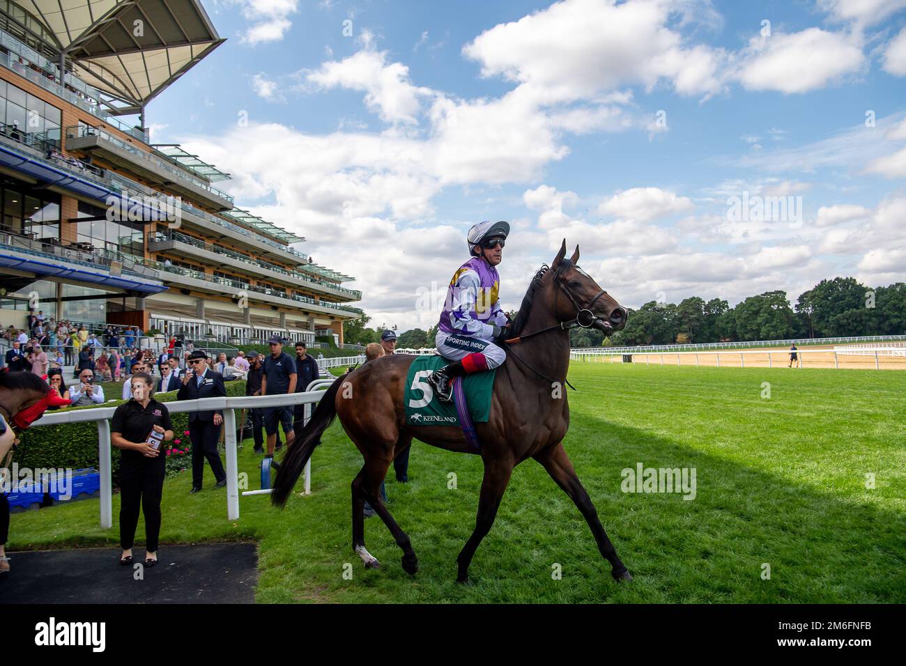 Owner marc chan and andrew rosen hi-res stock photography and images ...