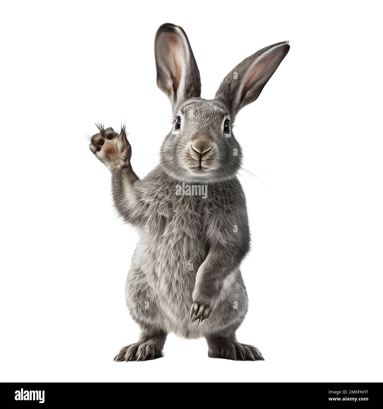 gray rabbit standing on its hind legs and saying hello - illustration Stock Photo