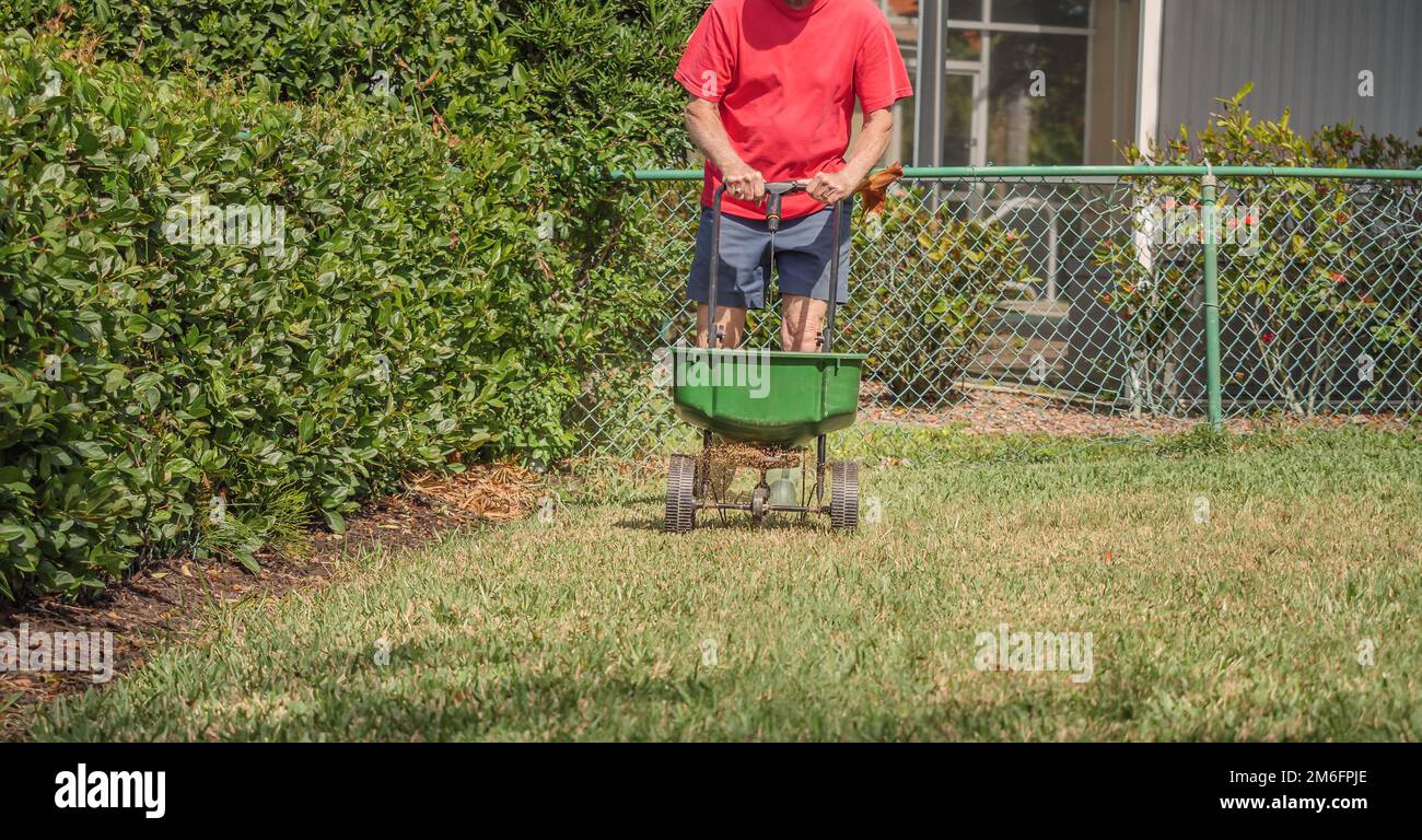 Man fertilizing and seeding residential lawn with manual grass seed