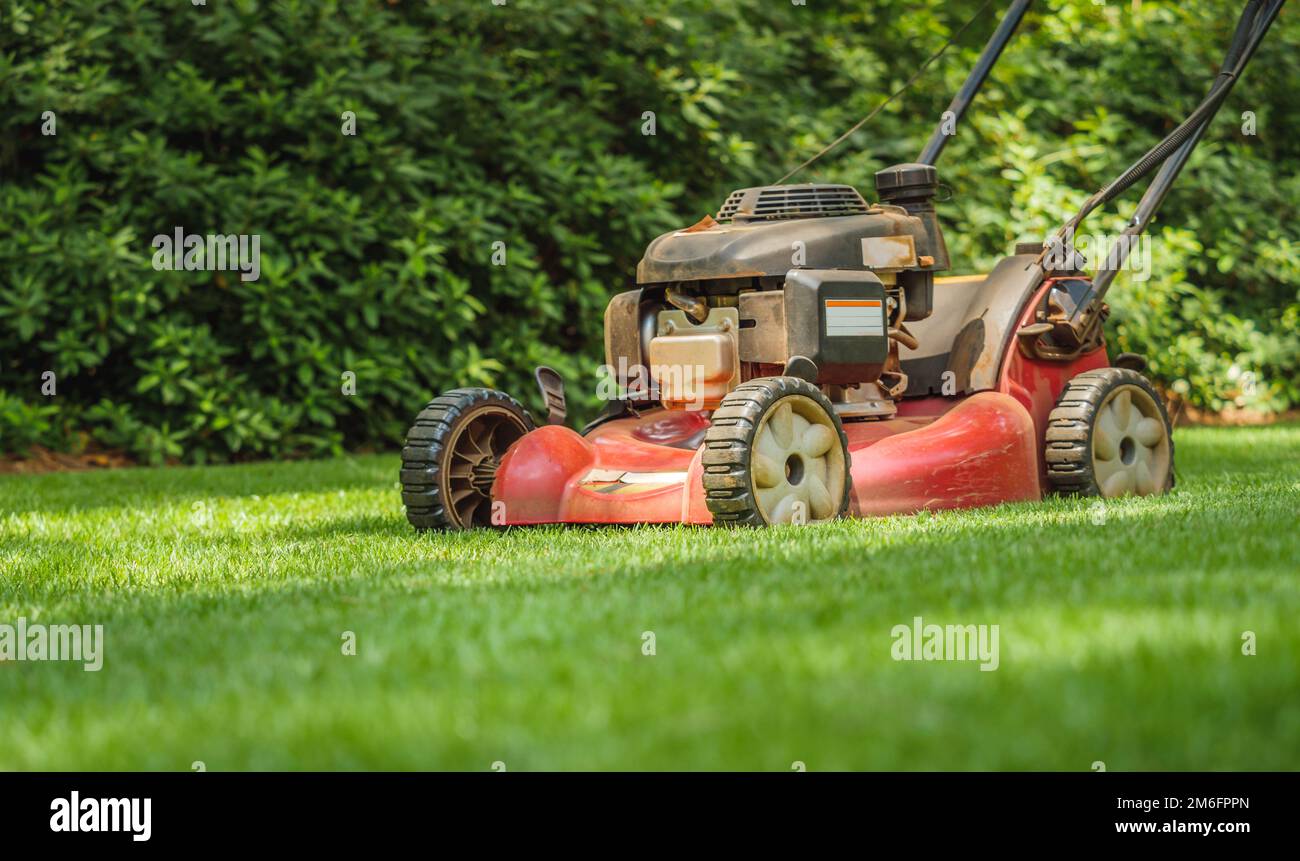 Lawn mower in green grass lawn. Walk behind gas powered lawnmower in