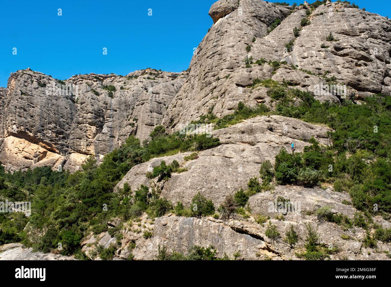 Nature in the mountains of Alicante near Guadalest - Spain Stock Photo