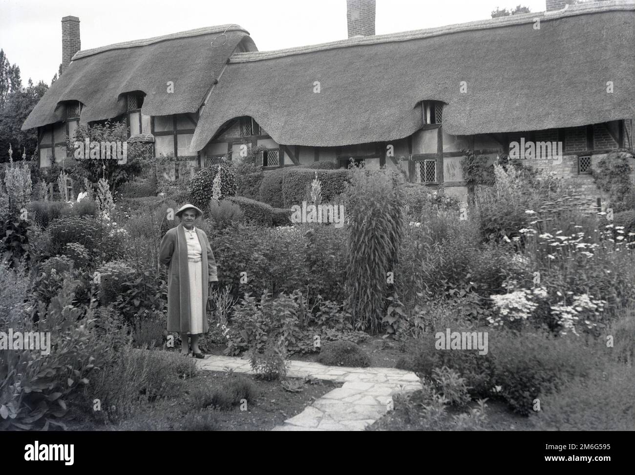 Tf ElTWi™ BMW, image size:1300x972