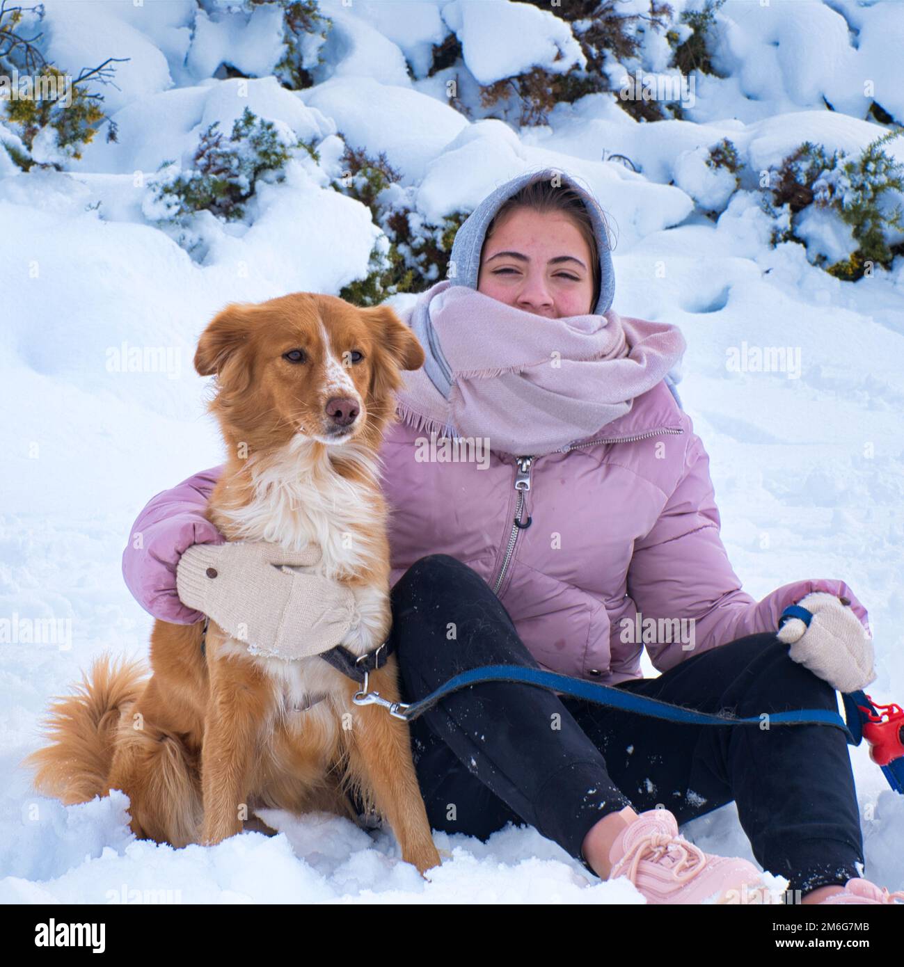 Young girl plays with dog in the snow Stock Photo