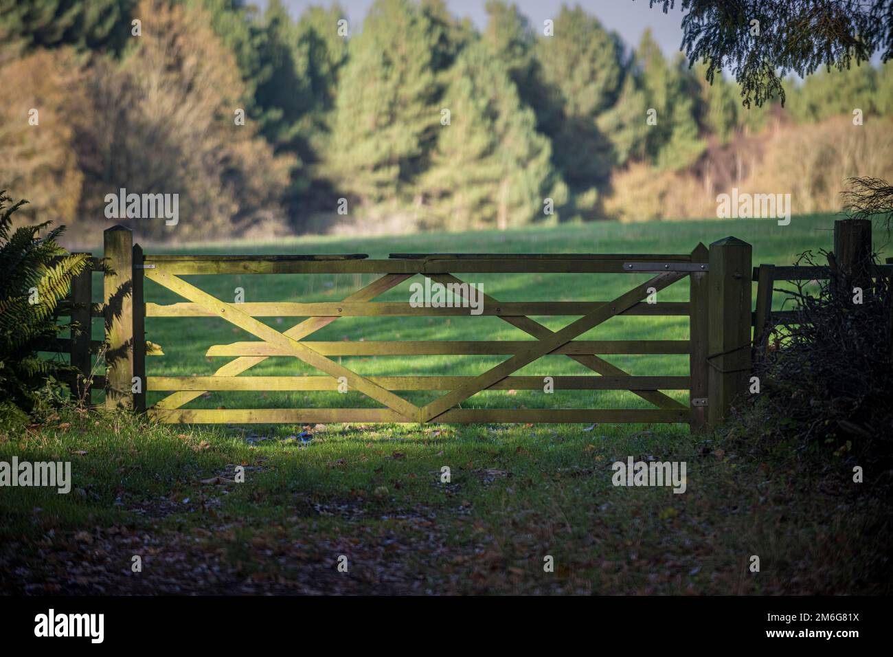 Closed wooden farm gate at the entrance to a field. UK. Stock Photo