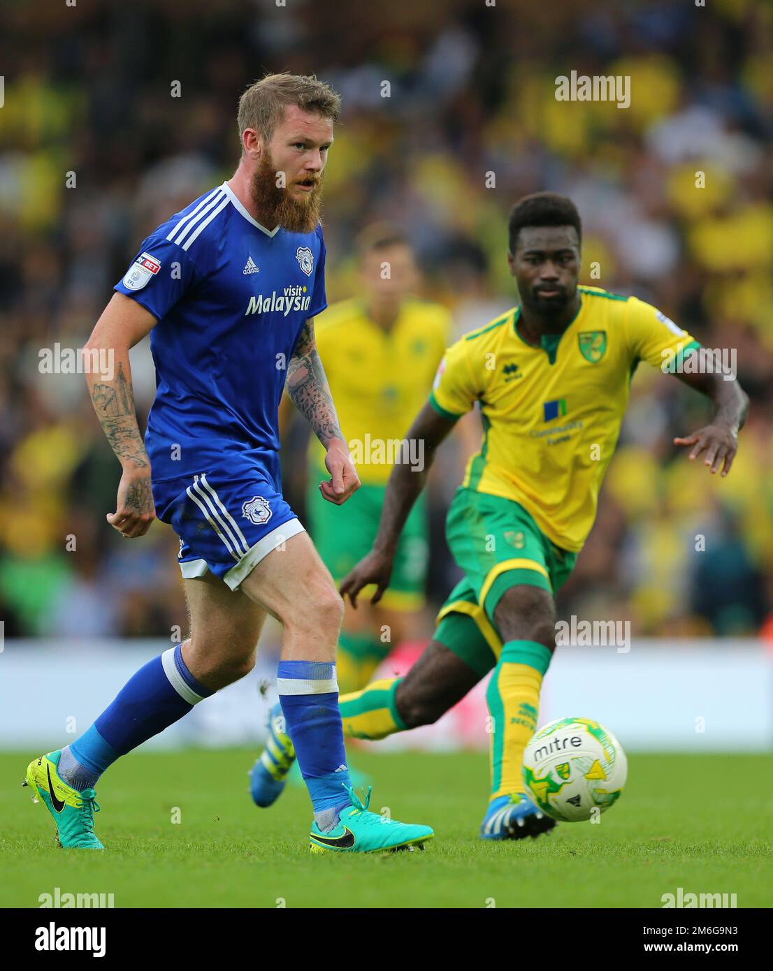 Alexander Ridd Cardiff Aron Gunnarsson of Cardiff City and Alexander Tettey of Norwich City ...