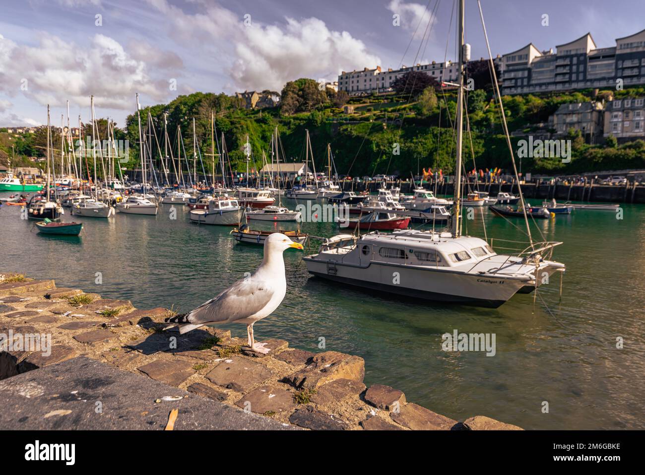 Padstow May 30 2022 The scenic coastal town of Padstow in Cornwall