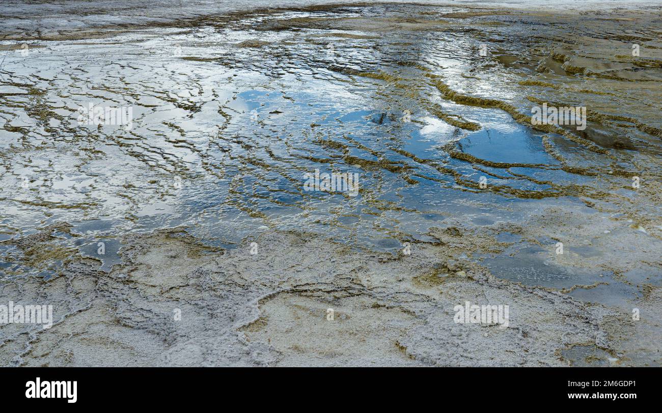 Closeup view shows mineral waters in Yellowstone National Park. Plants