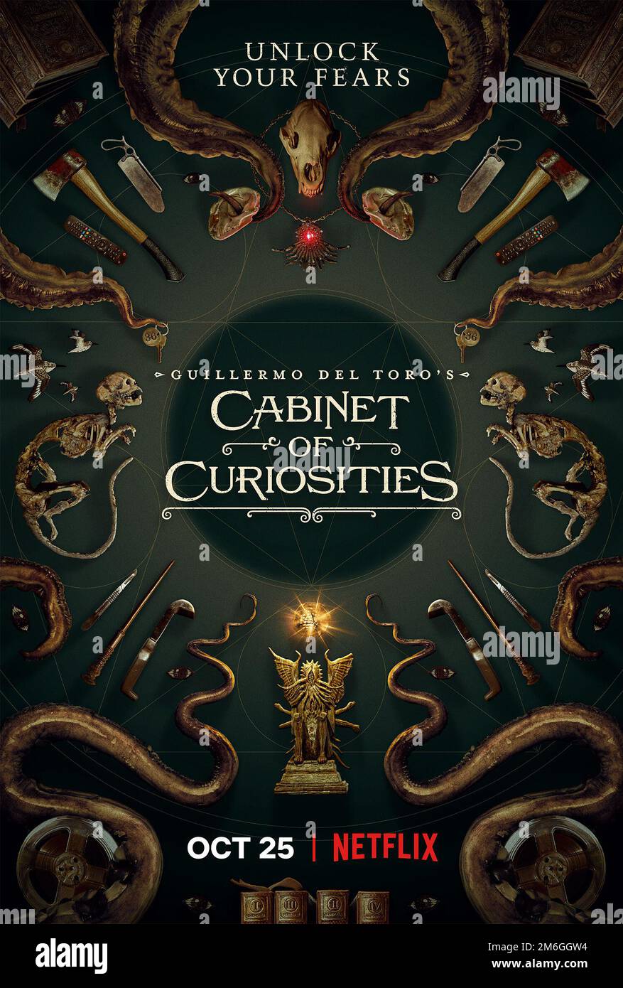 Cabinet of Curiosities poster Stock Photo
