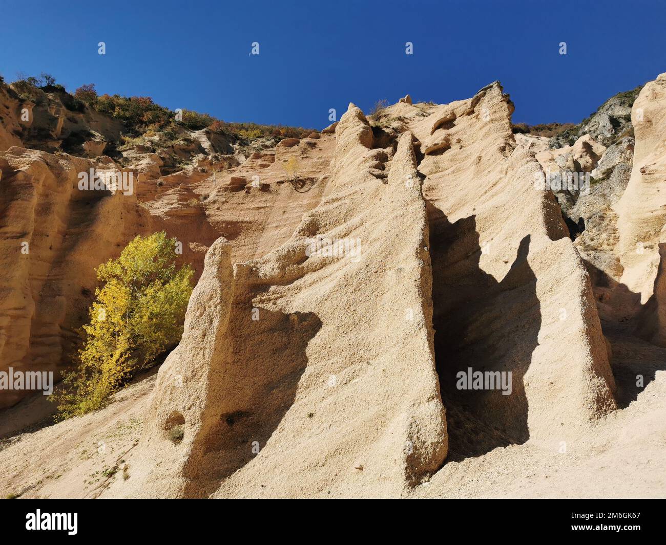 Set Di Cesoie Da Trauma Con Impugnatura Muave Da 7,5 Con Lame - Foto 4