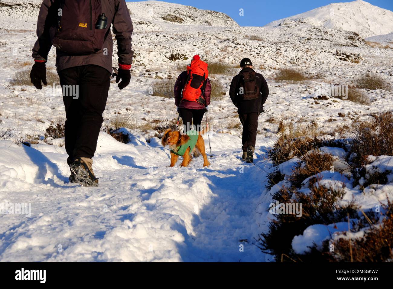 Winter snow, Hikers and a Cocker Spaniel on the path up a snow covered Ben Vrackie, a prominent mountain and corbett at Pitlochry, Scotland Stock Photo