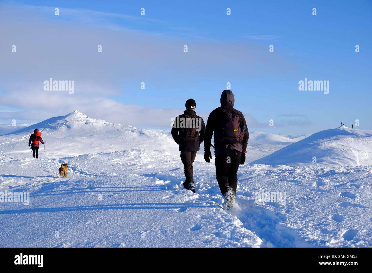 Winter snow, Hikers and a Cocker Spaniel on the path up a snow covered Ben Vrackie, a prominent mountain and corbett at Pitlochry, Scotland Stock Photo