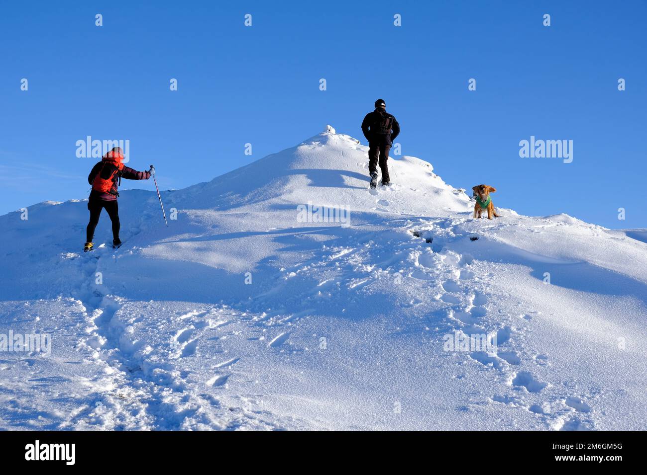 Winter snow, Hikers and a Cocker Spaniel on the path up a snow covered Ben Vrackie, a prominent mountain and corbett at Pitlochry, Scotland Stock Photo