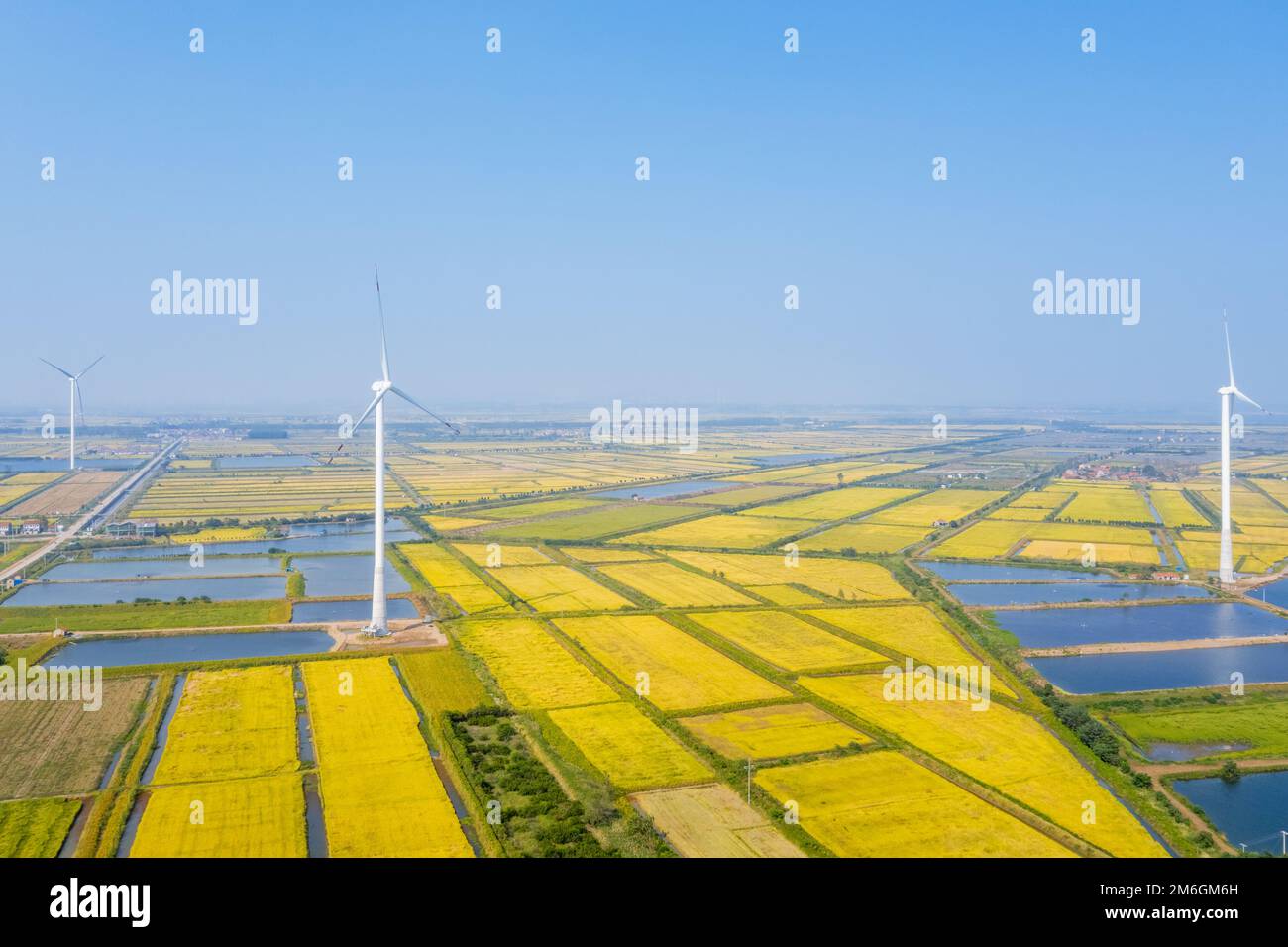 Windmills in autumn fields Stock Photo