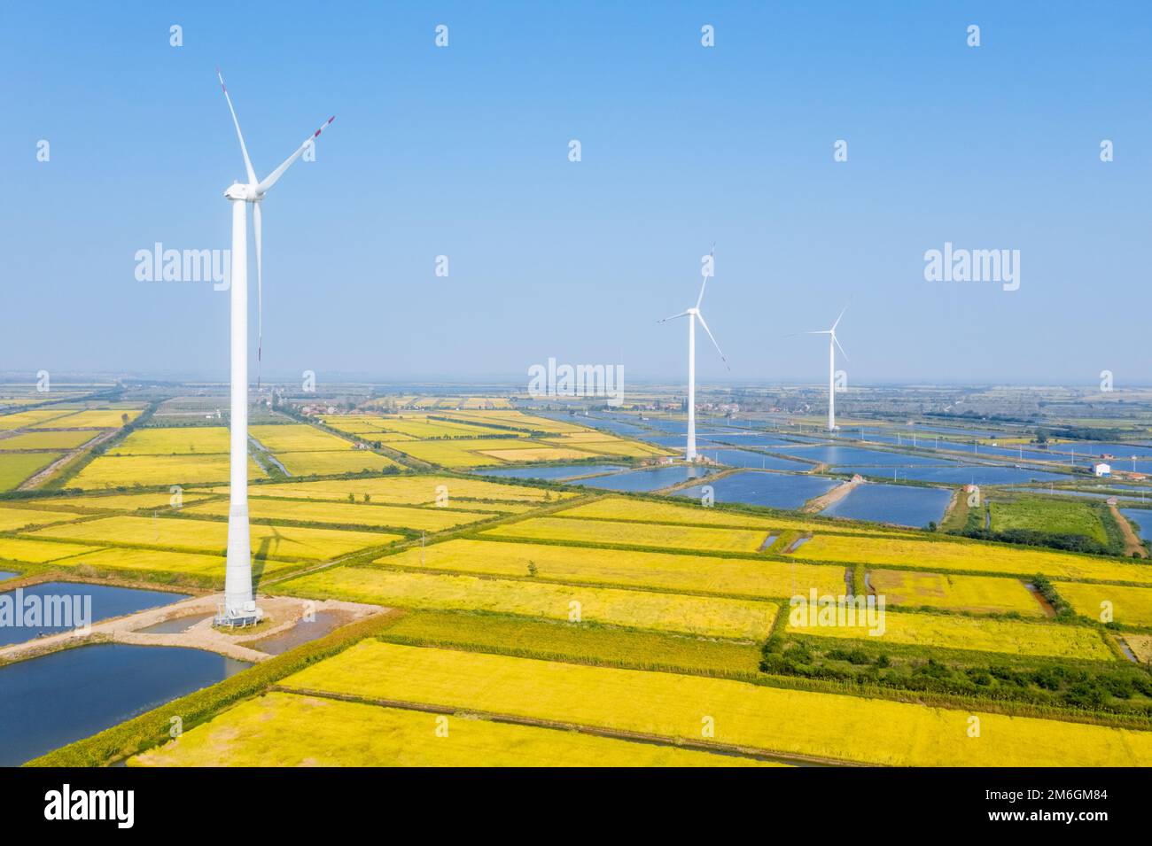 Autumn paddy fields and wind turbines Stock Photo