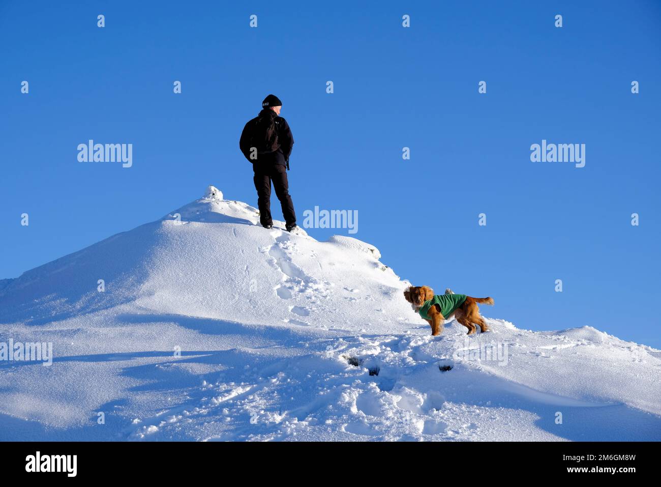 Winter snow, Hikers and a Cocker Spaniel on the path up a snow covered Ben Vrackie, a prominent mountain and corbett at Pitlochry, Scotland Stock Photo