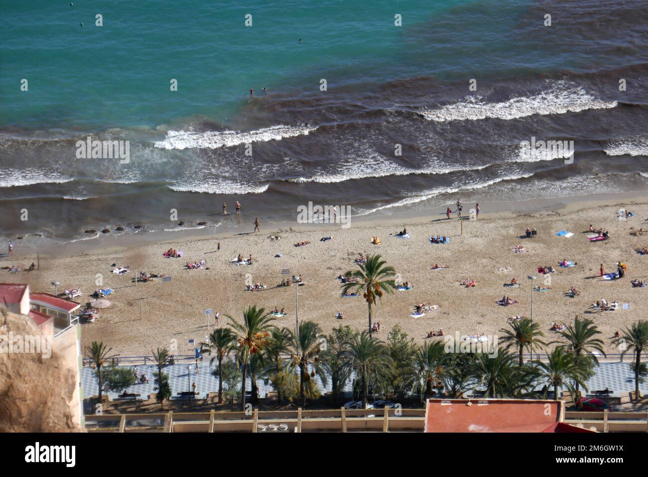 Algae on the beach in Alicante Stock Photo