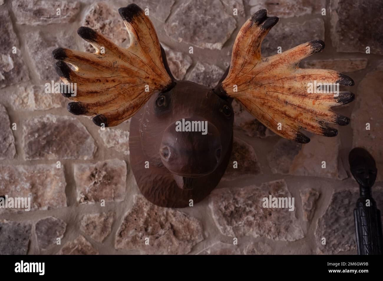 moose head mounted on wall Stock Photo