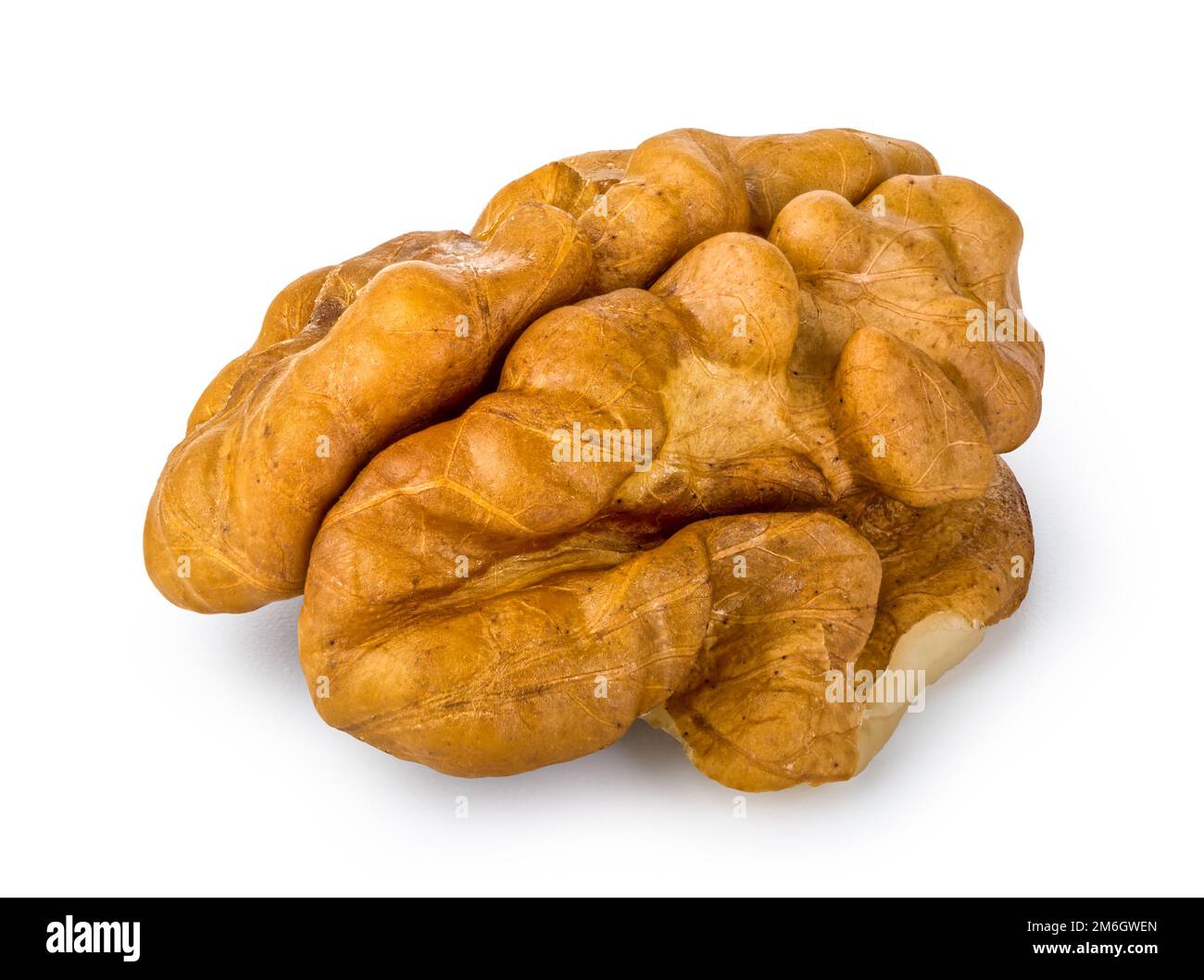 One delicious walnut Stock Photo Alamy