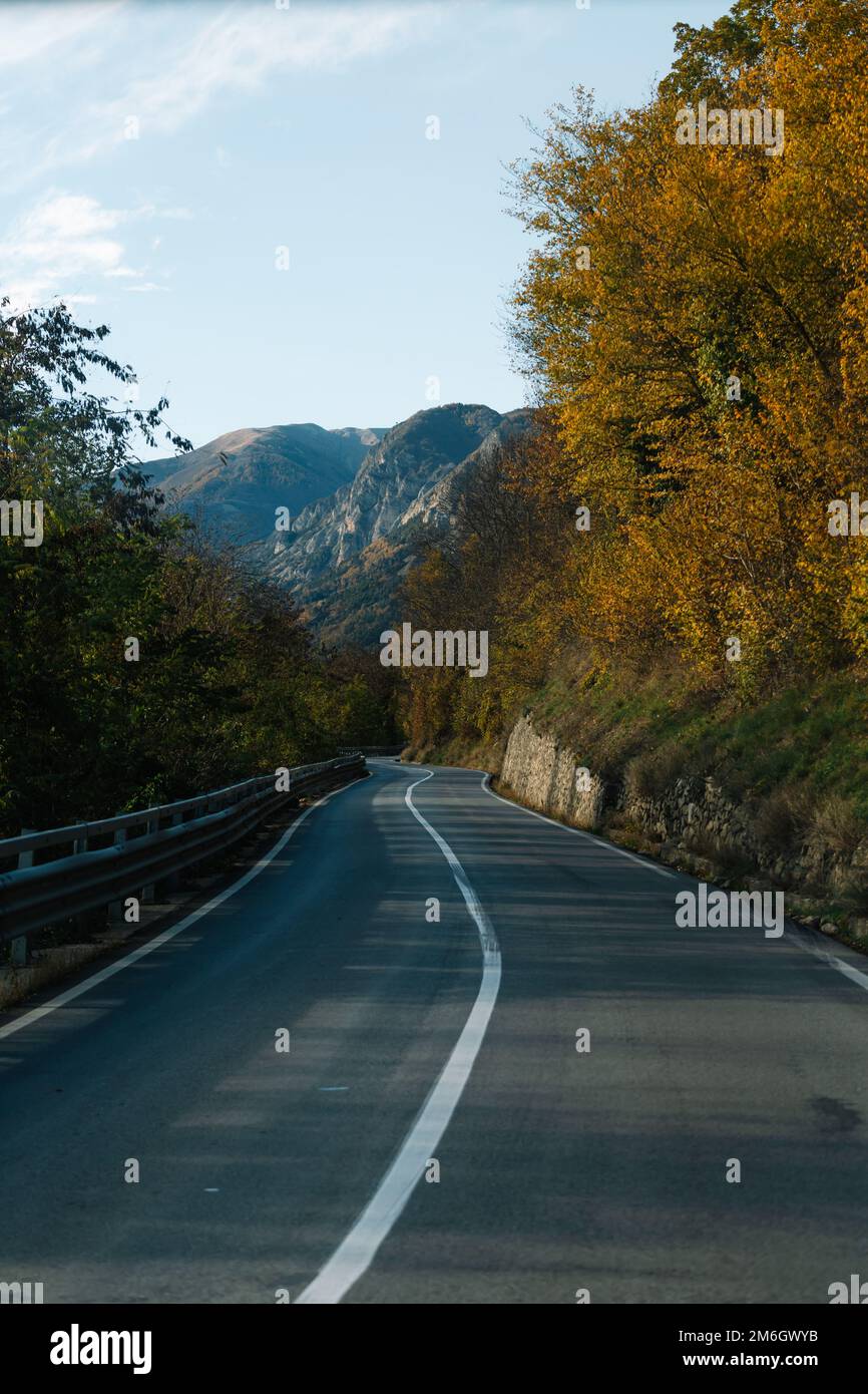 Empty roadway between autumn trees leading to mountains Stock Photo