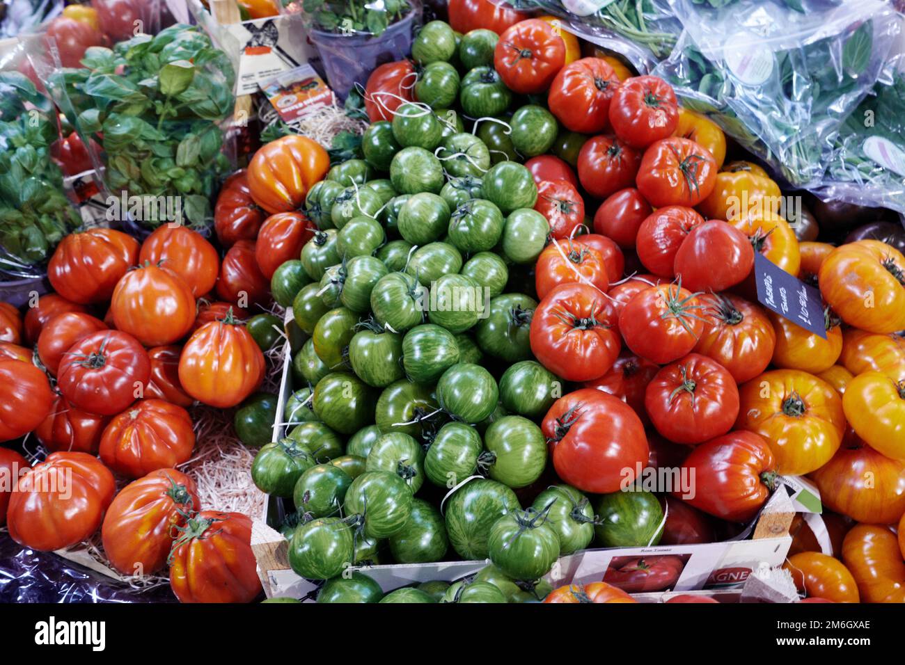 Fresh vibrant ripe tomatoes on sale in a market Stock Photo