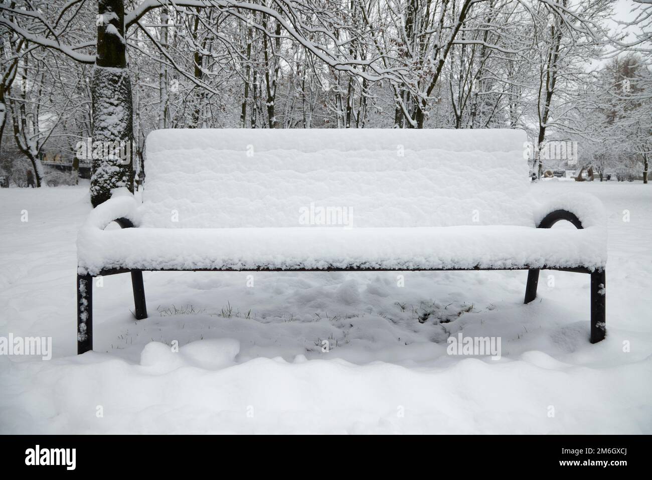 Snow covered bench in the public park in winter Stock Photo - Alamy