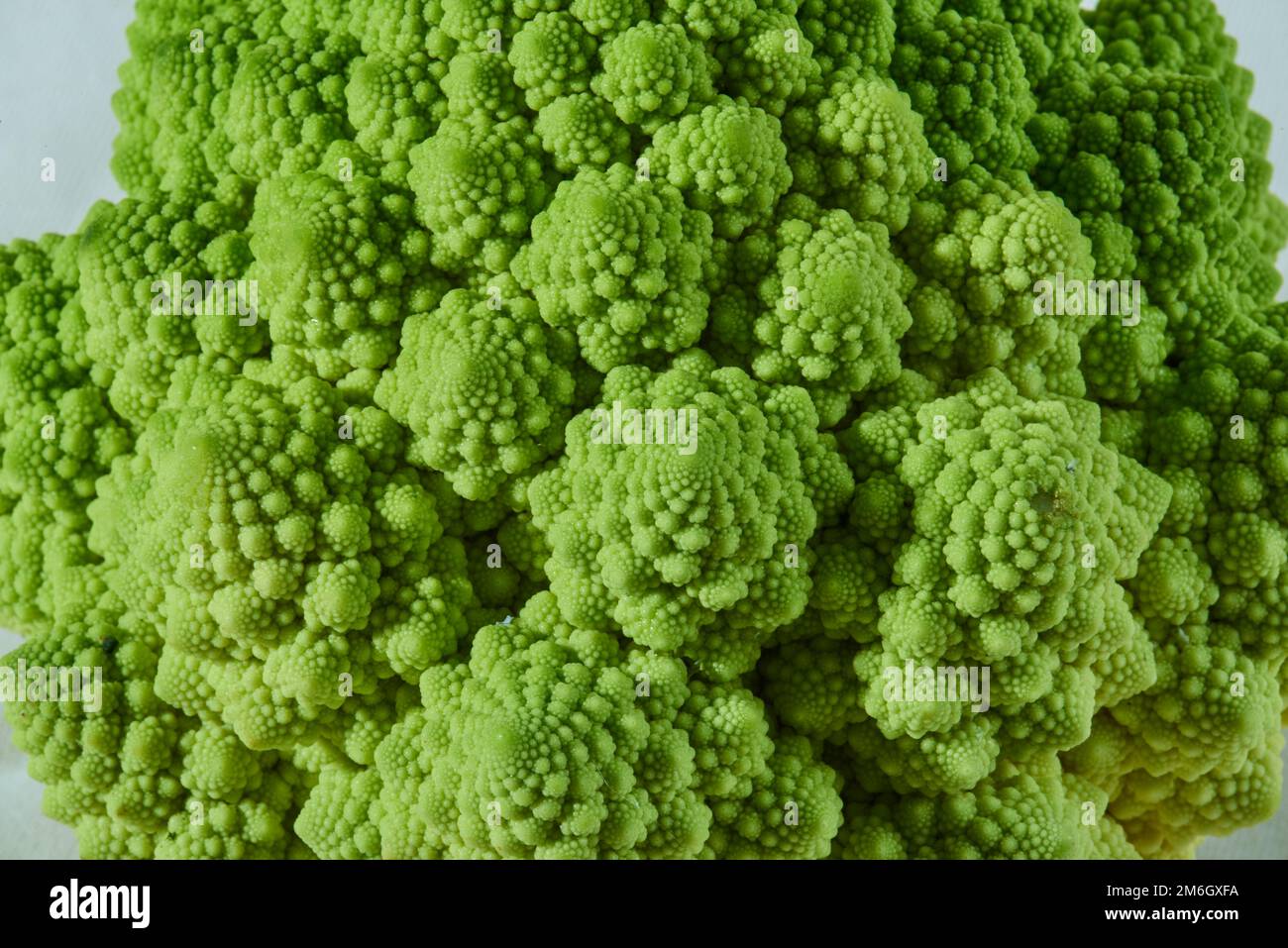 A closeup of Romanesco broccoli shot in a studio Stock Photo
