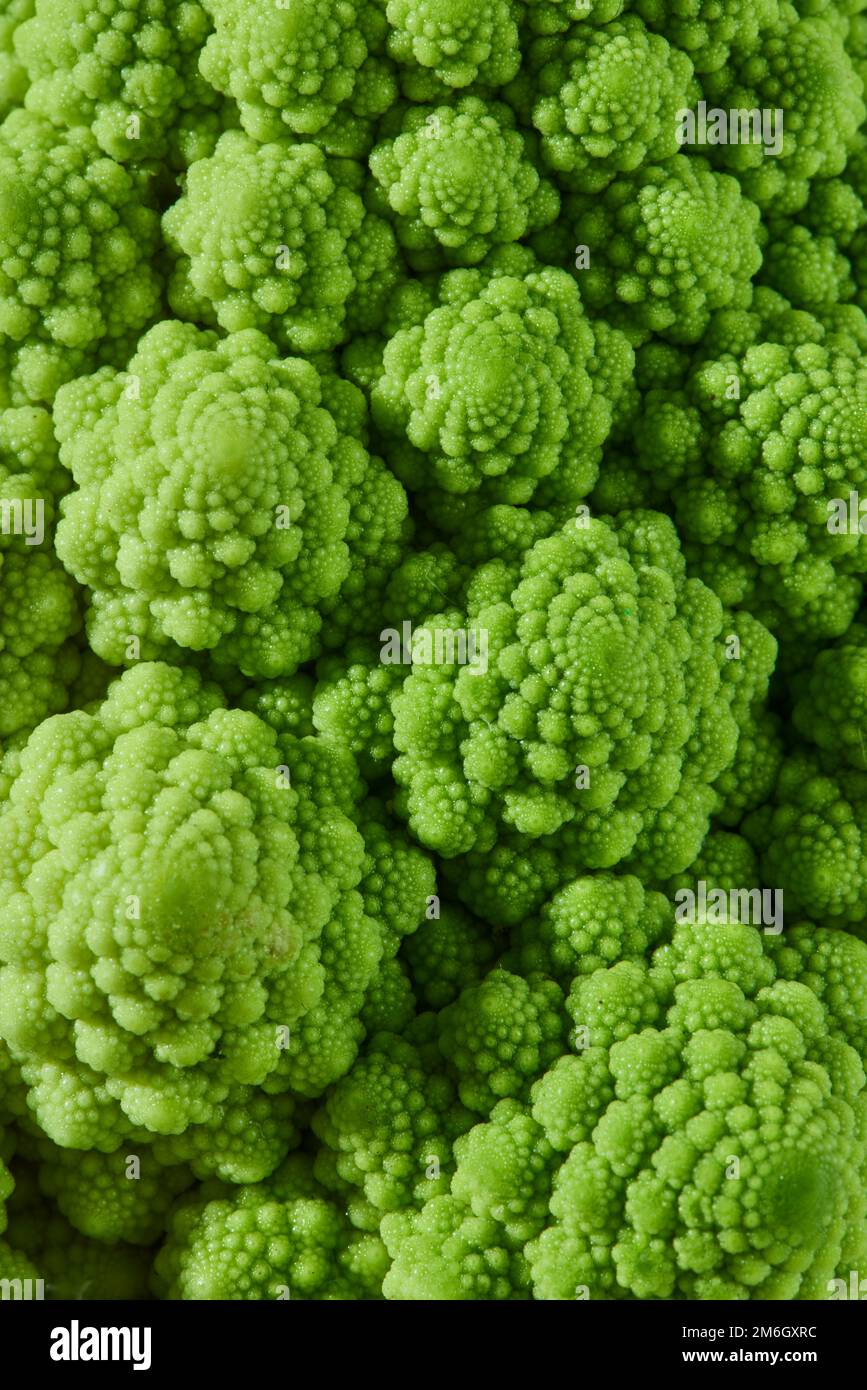 A closeup of Romanesco broccoli shot in a studio Stock Photo